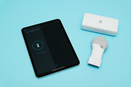 ポケットエコー